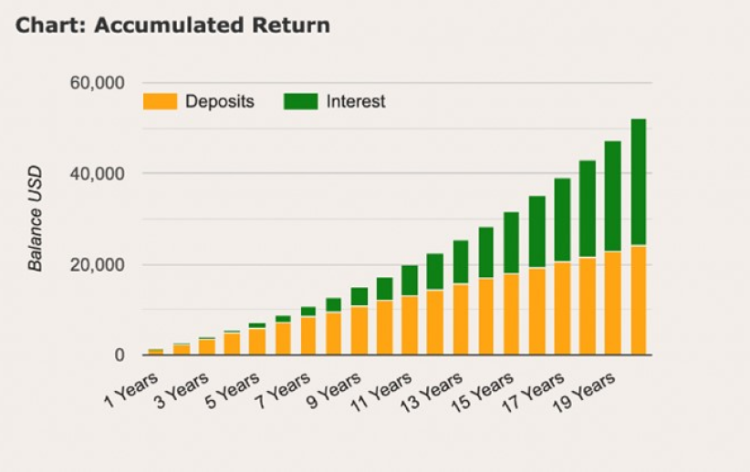 Chart of accumulated return over 1 to 19 years totaling over $45,000